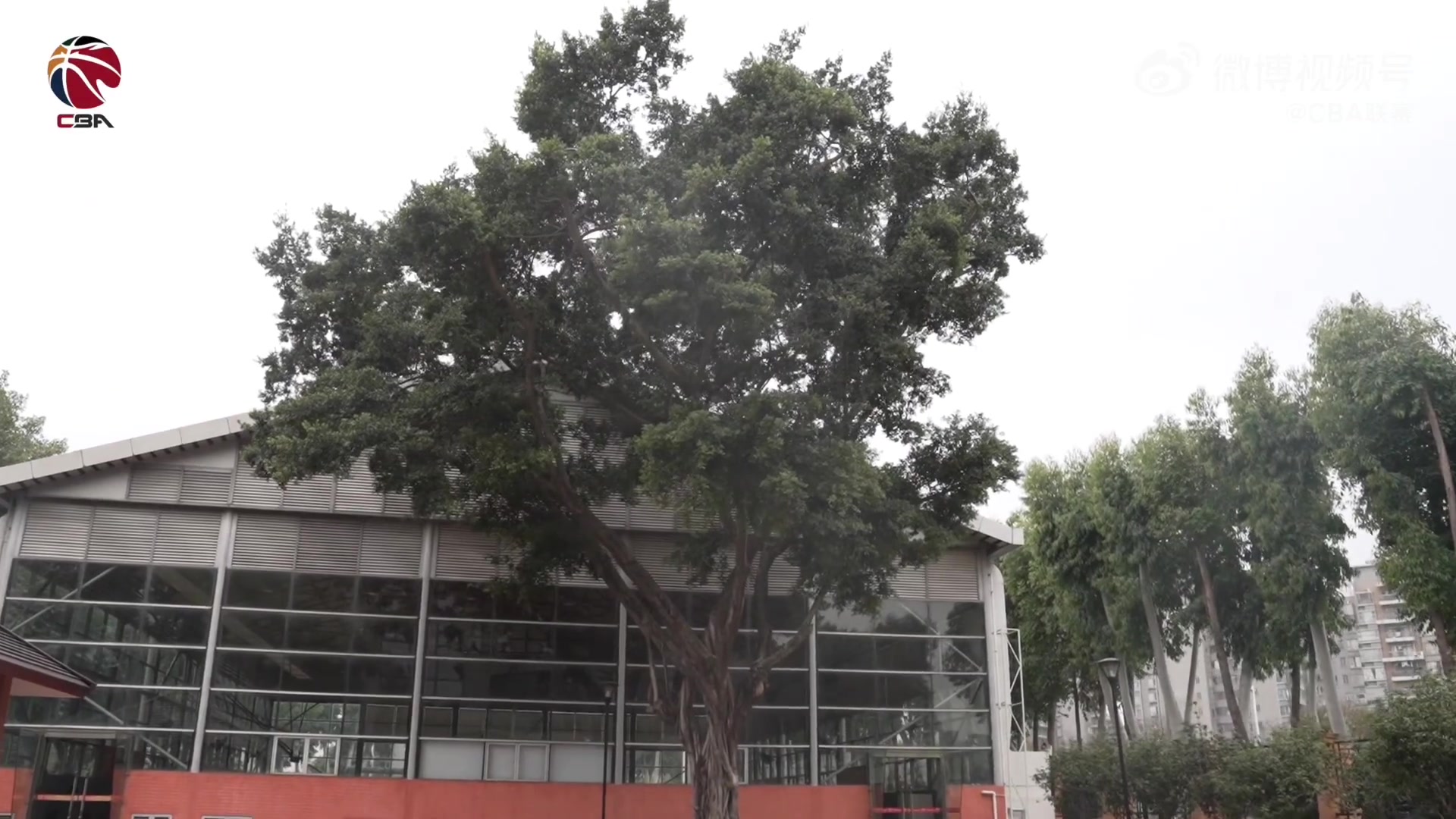 CBA官博致敬易建联：一人一城以城之名坚守让他成为传奇