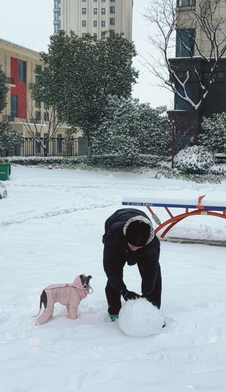 韦世豪妻子社媒晒照：下雪啦下雪啦！