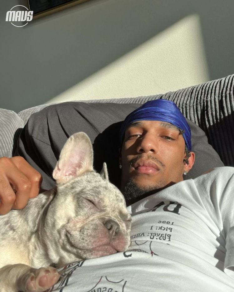 独行侠晒球星爱犬：Rocco与克莱青涩合照东契奇爱犬肤白貌美