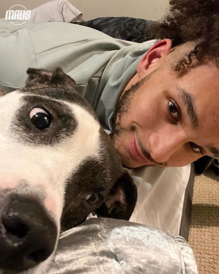 独行侠晒球星爱犬：Rocco与克莱青涩合照东契奇爱犬肤白貌美