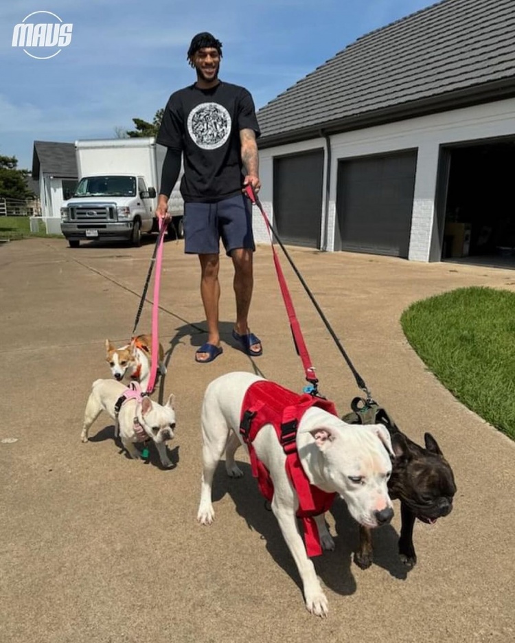 独行侠晒球星爱犬：Rocco与克莱青涩合照东契奇爱犬肤白貌美